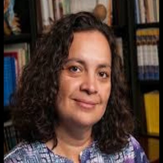 Associate Chancellor and Vice Provost for Diversity & Professor of Political Science and Latin American and Latino Studies, UIC
